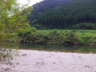2011-08-16 12.34.17.jpg