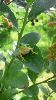 2011081709270000.jpg