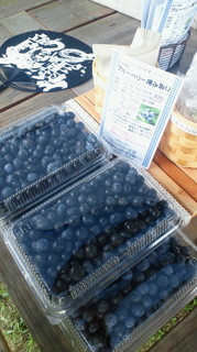 2011081711410000.jpg