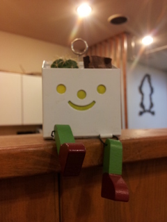 20130115_173633.jpg