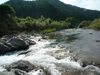 P1030020.JPG