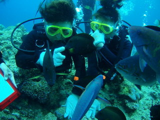 c0114831_15391495.jpg